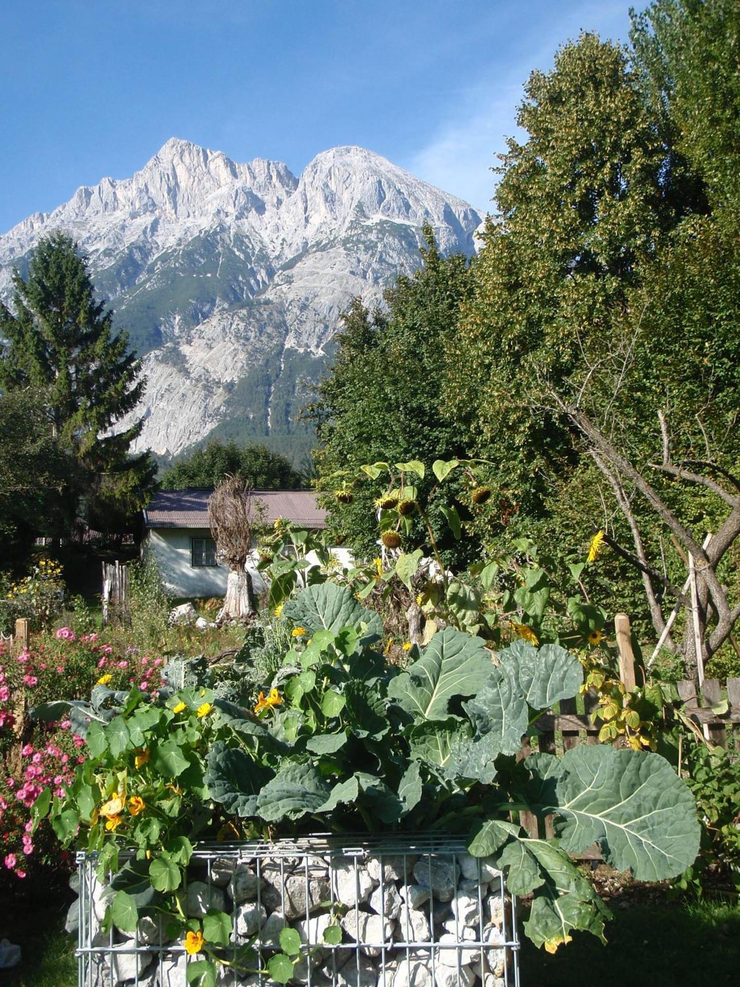 Telfer Stubm Bed & Breakfast Telfs Exterior foto