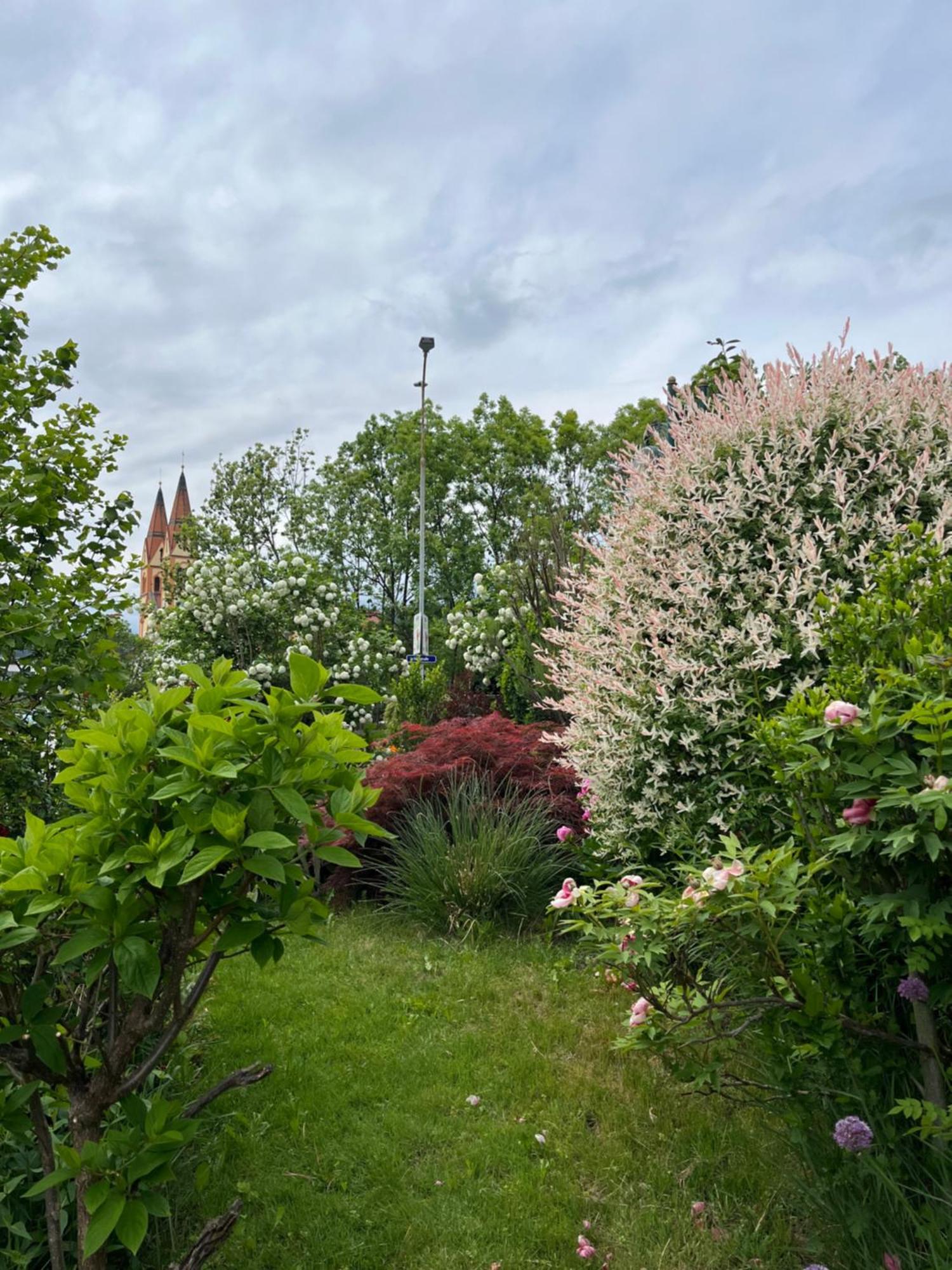 Telfer Stubm Bed & Breakfast Telfs Exterior foto